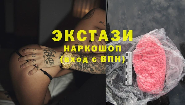 ECSTASY Бородино