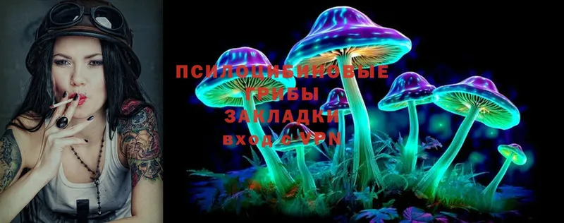 Галлюциногенные грибы Psilocybe  kraken рабочий сайт  Севастополь 